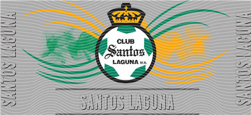 16oz Latest Bestseller-C 5976